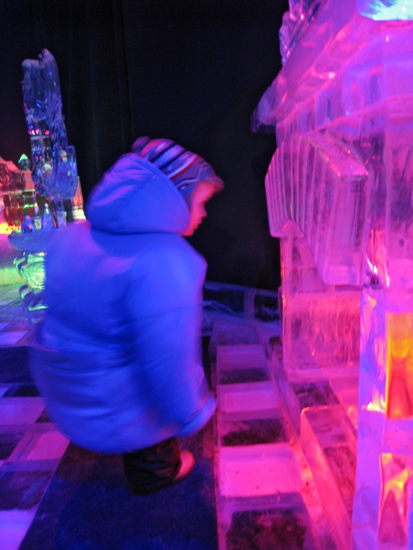 20110313_IceMuseum_019