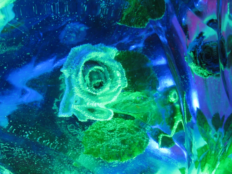 20110313_IceMuseum_023