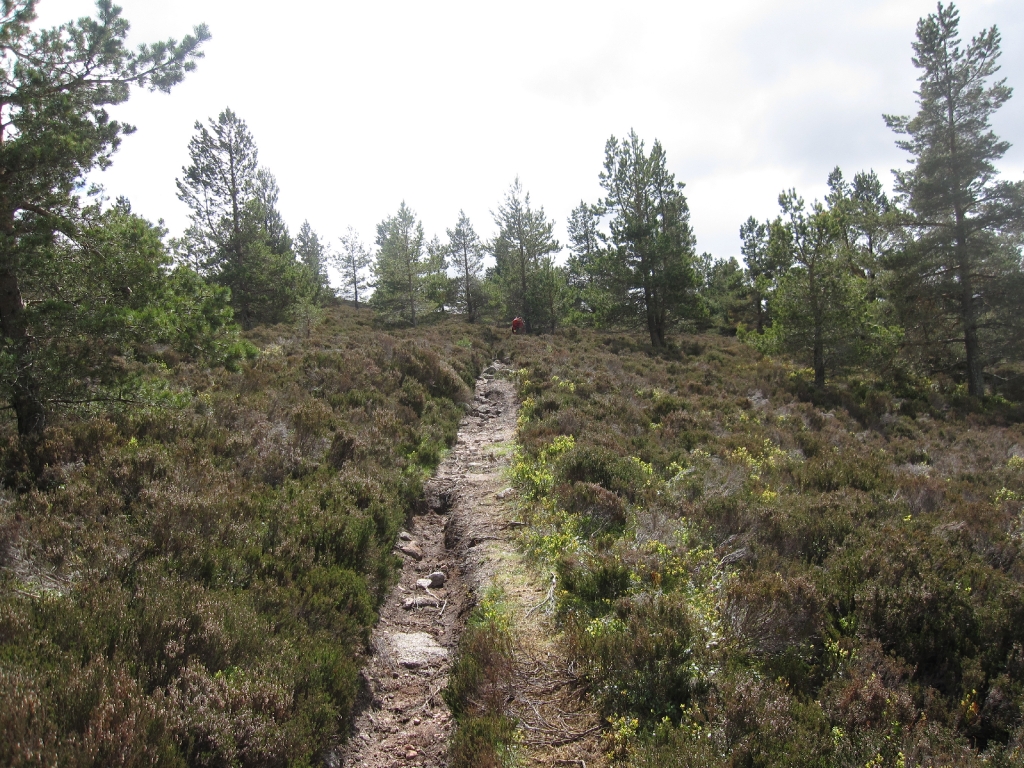 Таскалово5_1